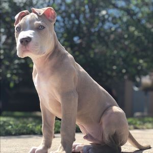 Meet your Posher, Celeste